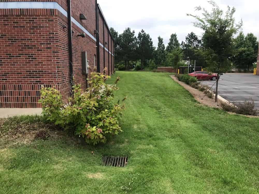 Lawn Care Services image