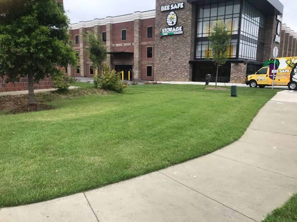 Sod Installation image