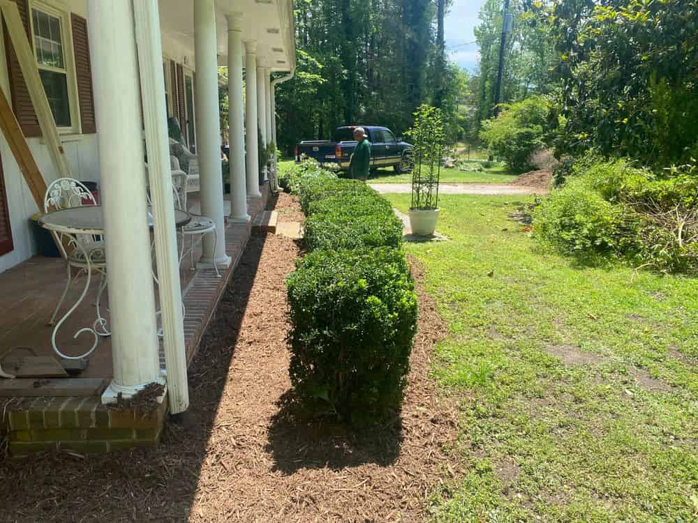 Landscape Maintenance image